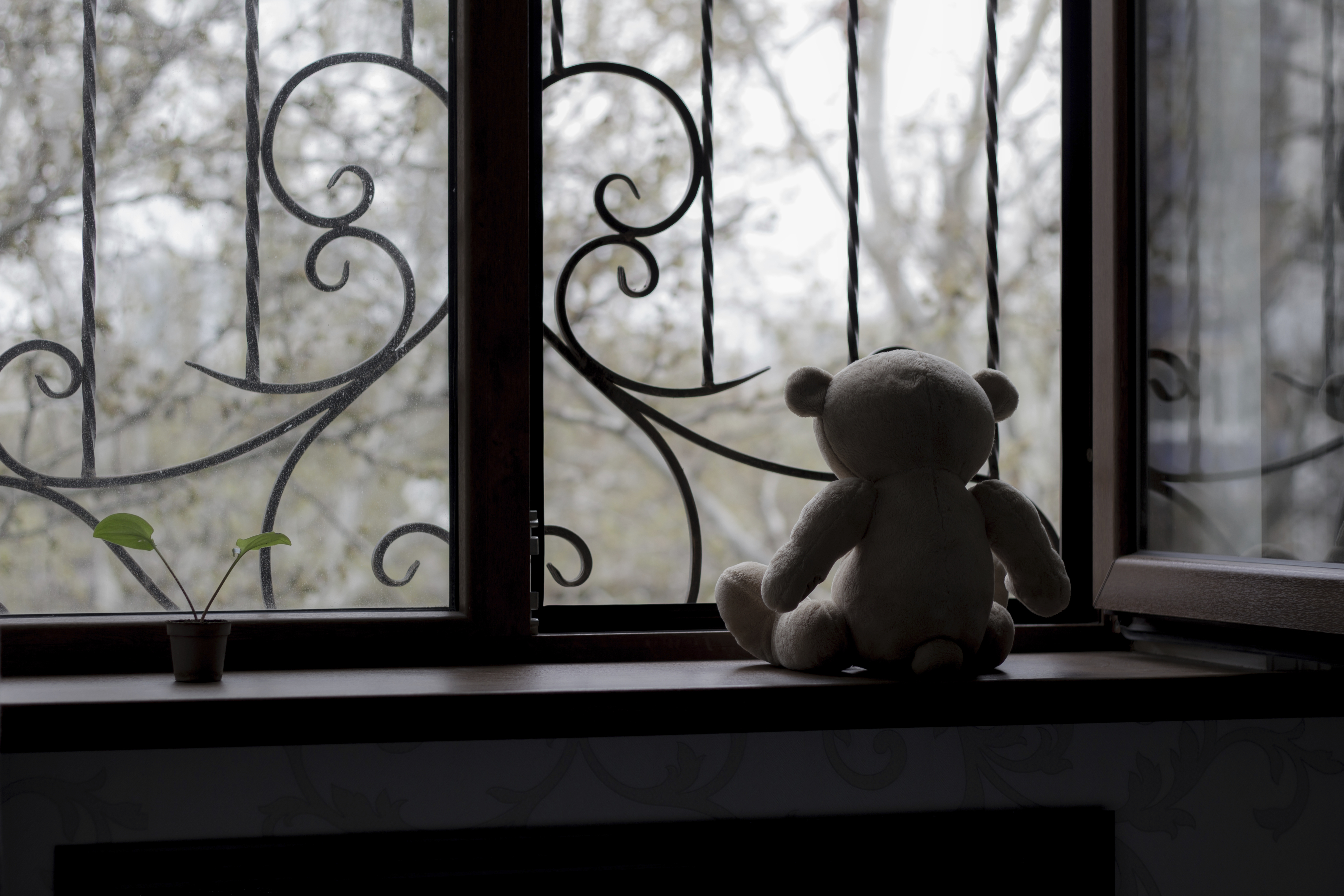 Hague Convention on International Child Abduction